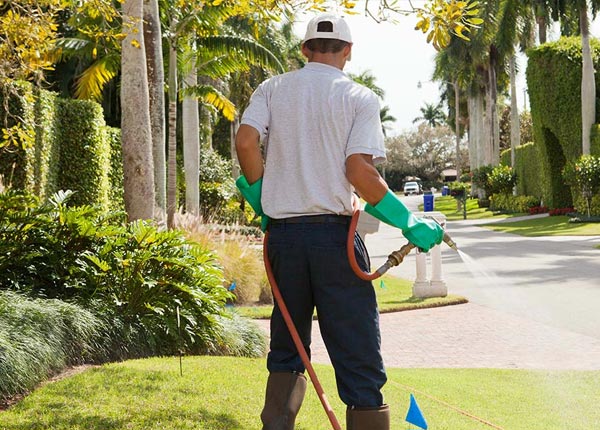 About Fishers Landing NY Pest Control